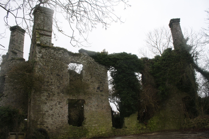 Ballyannan Castle (Jenny O'Brien)
